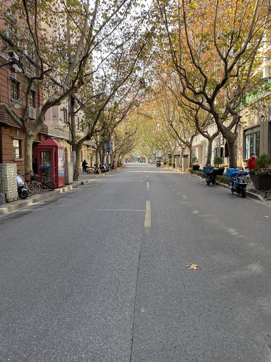 eefjerammeloo's tweet photo. Julu lu in Shanghai, around lunchtime. The city has a weird pre-Chinese Newyear feel, right now. As if people left for their hometowns already. In reality, they stay indoors. Many because they’re sick, others to be careful. https://t.co/QnOTT4kMaP