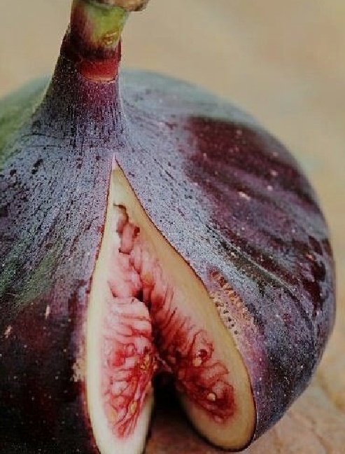 CompaTony69 tweet picture