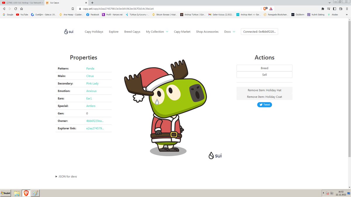 barisbasoglu123's tweet image. TearSuidrop-little sui cannot find the path back home at Sui Forest ..he is getting colder must be to find his shelter please help him finding the way for home before sunset.#CapyHolidays