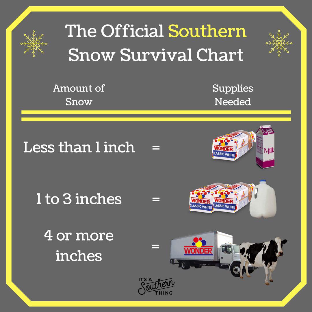 rucochamber's tweet photo. A lot of you newbies are asking about the forecasted weather. Here's your official survival chart for surviving snow in the South. #RutherfordCountyTN #letitsnow #itsasouthernthing https://t.co/VYOYygjAXk