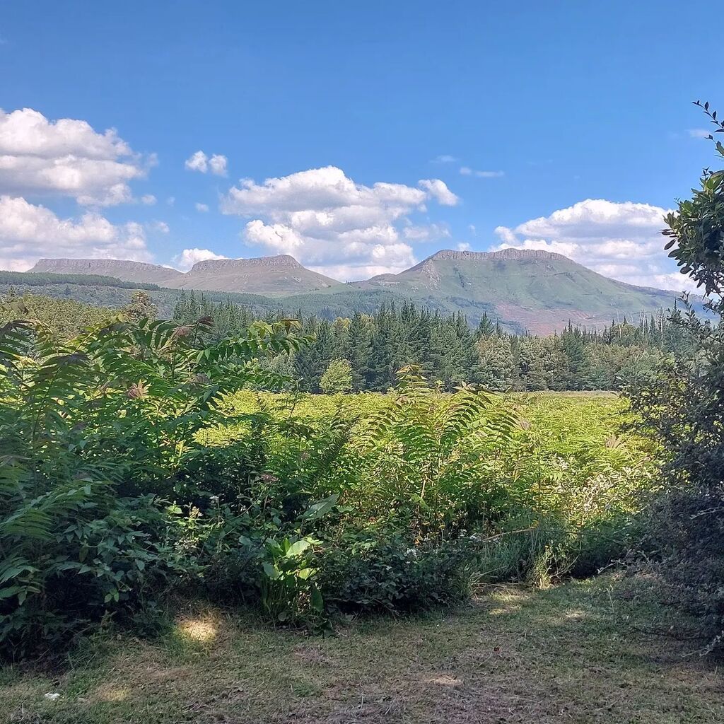 hogsback's tweet image. Back in my mountain paradise nest. What can I say #blessed instagr.am/p/CmeOLk-qqt4/