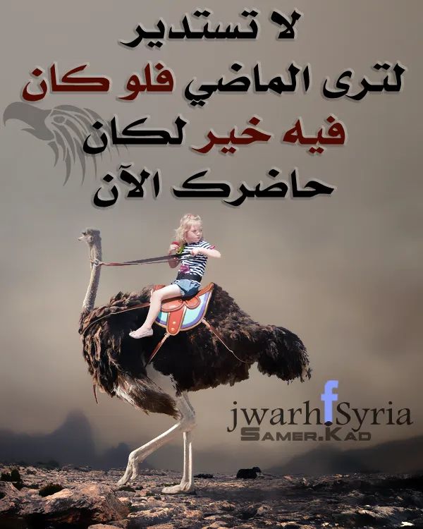 Heba Bent Mansour (@hebamansour0) on Twitter photo 