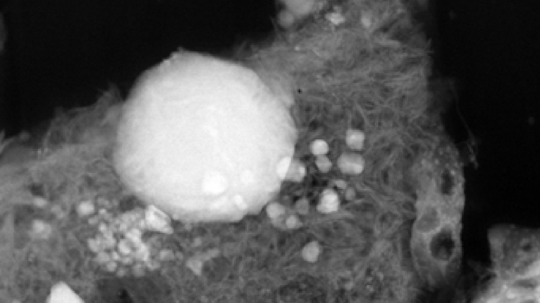 University of Leicester tweet media