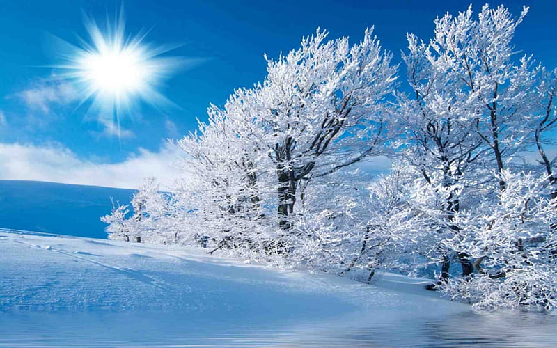 AccessaOrg's tweet photo. Wishing everyone a happy festive season - and clear skies in 2023 from all at https://t.co/Q70OEPonfL #WinterSolstice #christmas #Hanukkah https://t.co/sEhYuPCBeB
