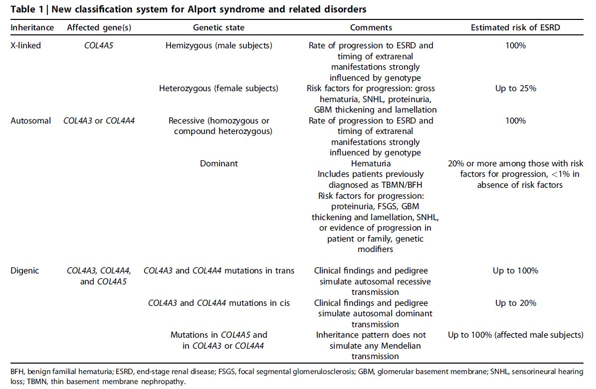 SreejithDr's tweet photo. All disorders from abnormalities of collagen IV a345 molecule are classified as forms of #Alport syndrome 
This will bring Thin Basement Memb Dx &amp; Benign Familial hematuria &amp; Female carriers of XLAS under #Alport syndrome 
#ECNeph @myadla @arvindcanchi @ISNeducation
2/8 https://t.co/qV3HQ4M1RX