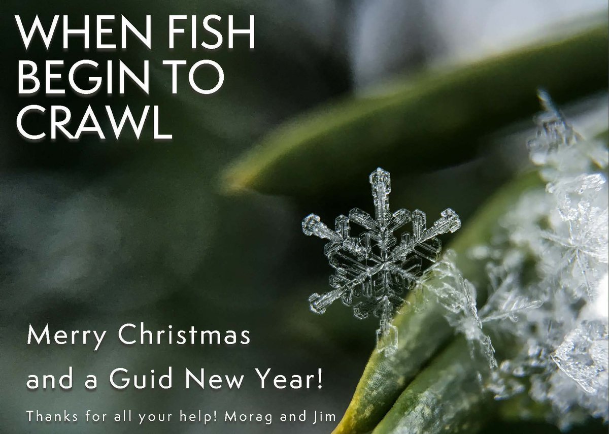 WhenFishBeginToCrawl tweet media