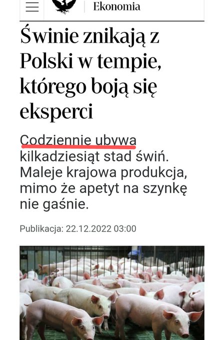 FklpIG-X0AoXIM-