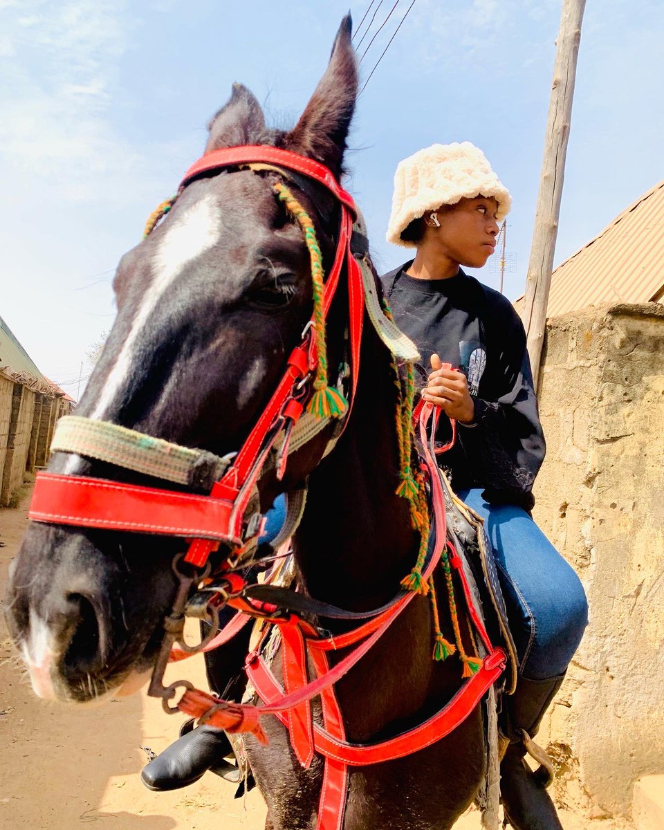 I need a polo coach 🐎