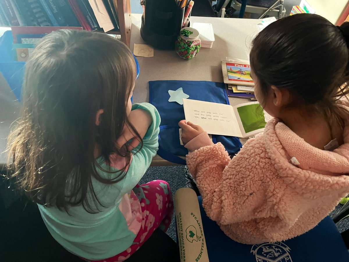 A little reading recovery reading party with a cozy fire place to end a LOT of hard work before break 🤍 @RomanowWr