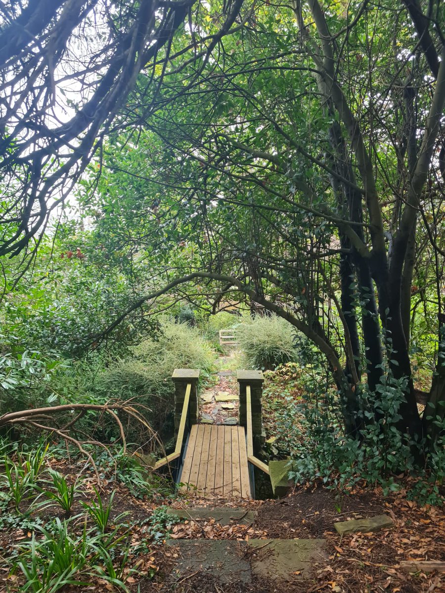 SWH_Ltd's tweet photo. Earlier this year one of our employees sponsored Seed of Hope's VINCI Foundation application for funding towards a new minibus to increase accessibility to mental health support within rural Somerset, and fantastically they were awarded £6,800.

#mentalhealth #funding https://t.co/tGef8O4dTl