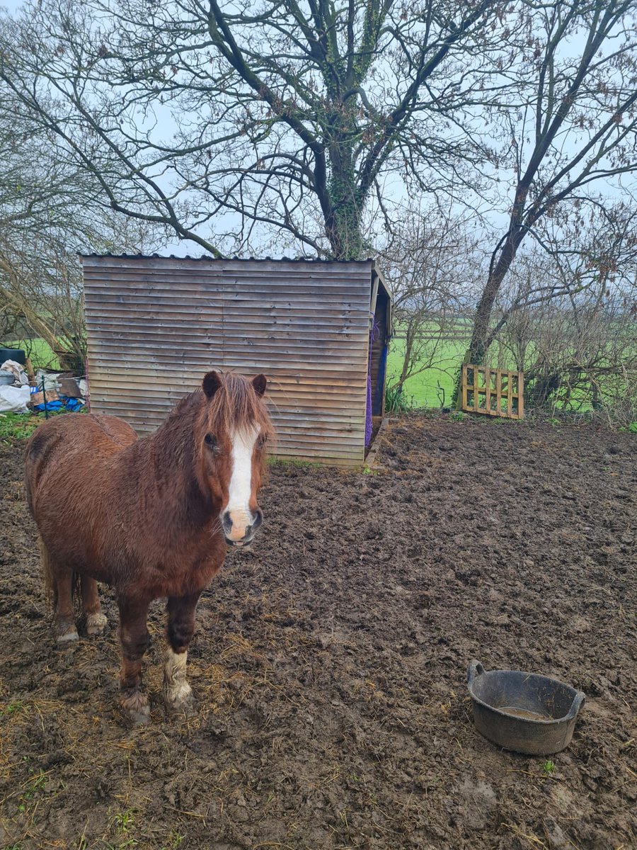 SWH_Ltd's tweet photo. Earlier this year one of our employees sponsored Seed of Hope's VINCI Foundation application for funding towards a new minibus to increase accessibility to mental health support within rural Somerset, and fantastically they were awarded £6,800.

#mentalhealth #funding https://t.co/tGef8O4dTl