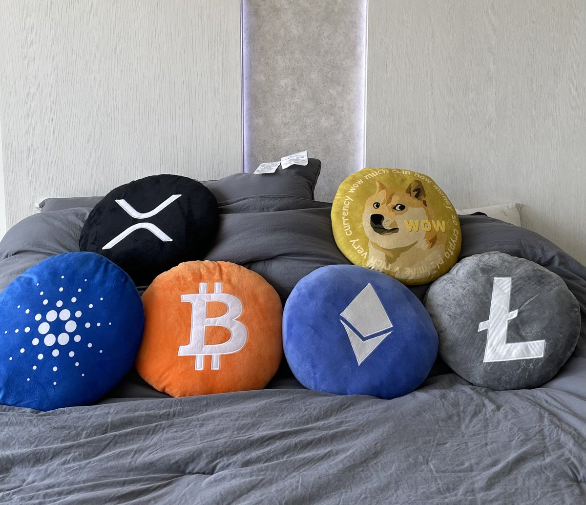 BitcoinPillow's tweet photo. @MASTERBTCLTC @TwitterBusiness Send them a $LTC pillow and they’ll do it ;) https://t.co/MZRFQhT9La