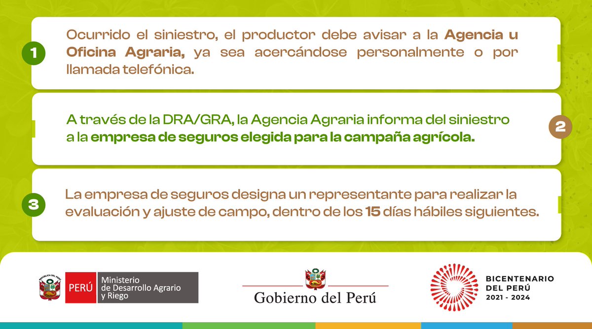 midagriperu's tweet image. ✅ Cómo activar el Seguro Agrícola Catastrófico en 4 pasos.