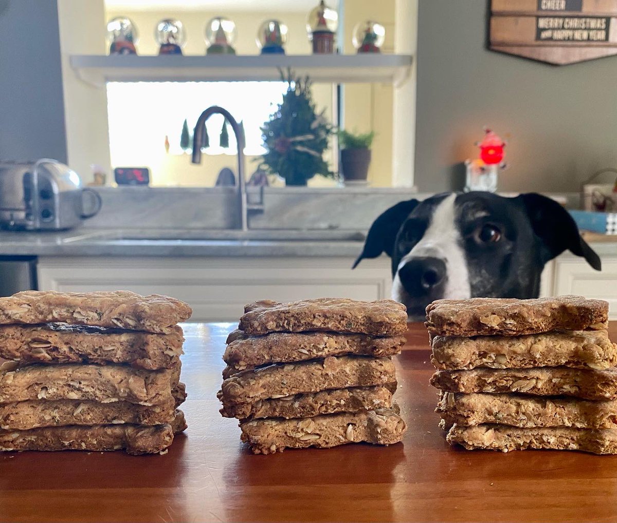 doubledogart's tweet photo. Ollie knows all dogs are on the nice list &amp; makes sure everyone gets treats #dogsarefamily #animallover https://t.co/lz8a85YJN3