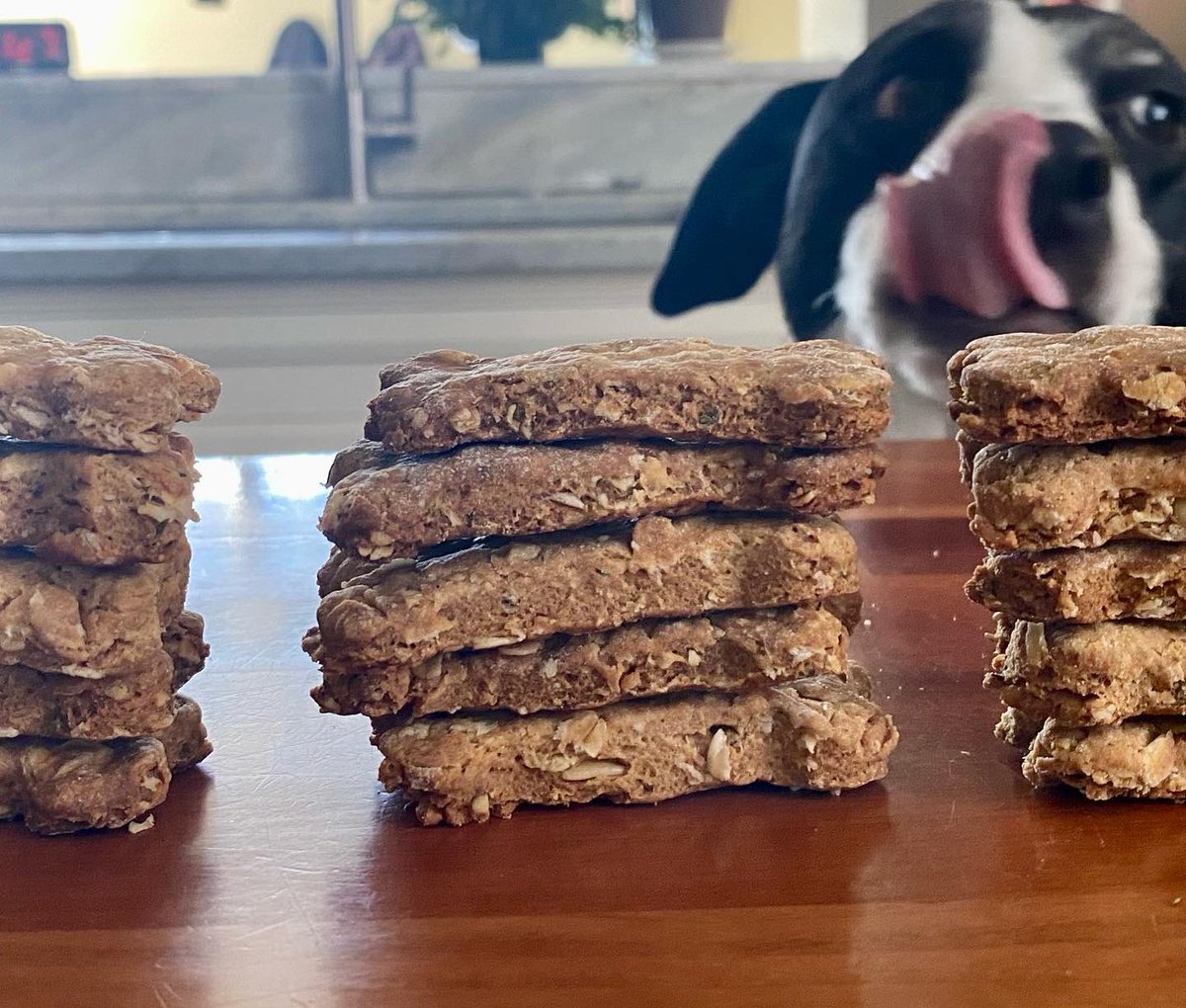 doubledogart's tweet photo. Ollie knows all dogs are on the nice list &amp; makes sure everyone gets treats #dogsarefamily #animallover https://t.co/lz8a85YJN3