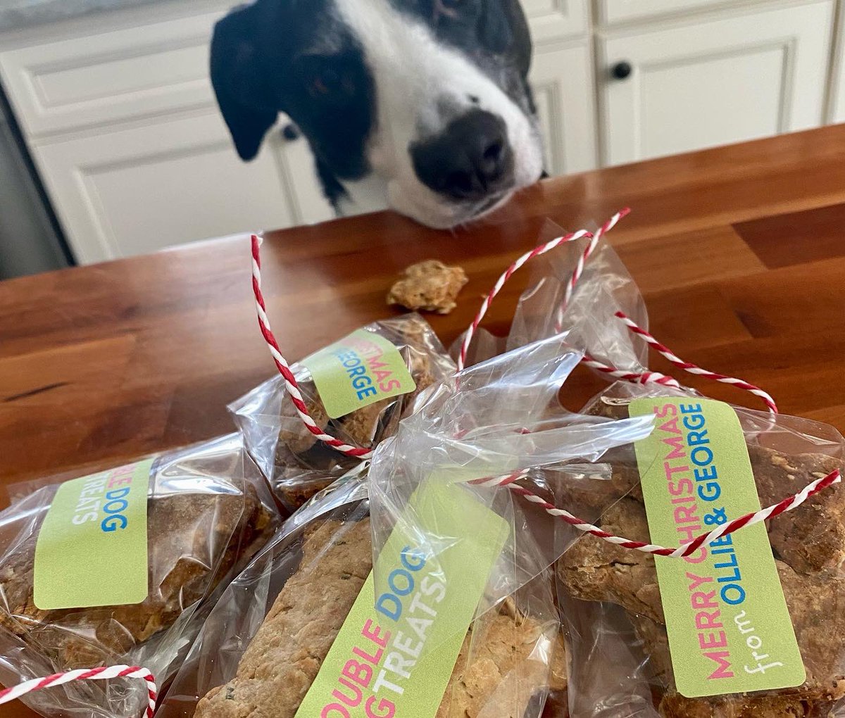 doubledogart's tweet photo. Ollie knows all dogs are on the nice list &amp; makes sure everyone gets treats #dogsarefamily #animallover https://t.co/lz8a85YJN3