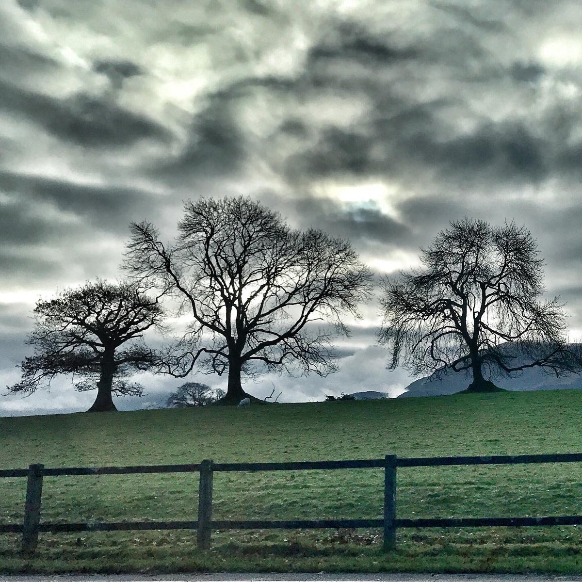 Heading into Killarney. I love these trees

🌳

County Kerry, Ireland 
. #tiitrees #lovekillarney #RingOfKerry #TodayInIreland