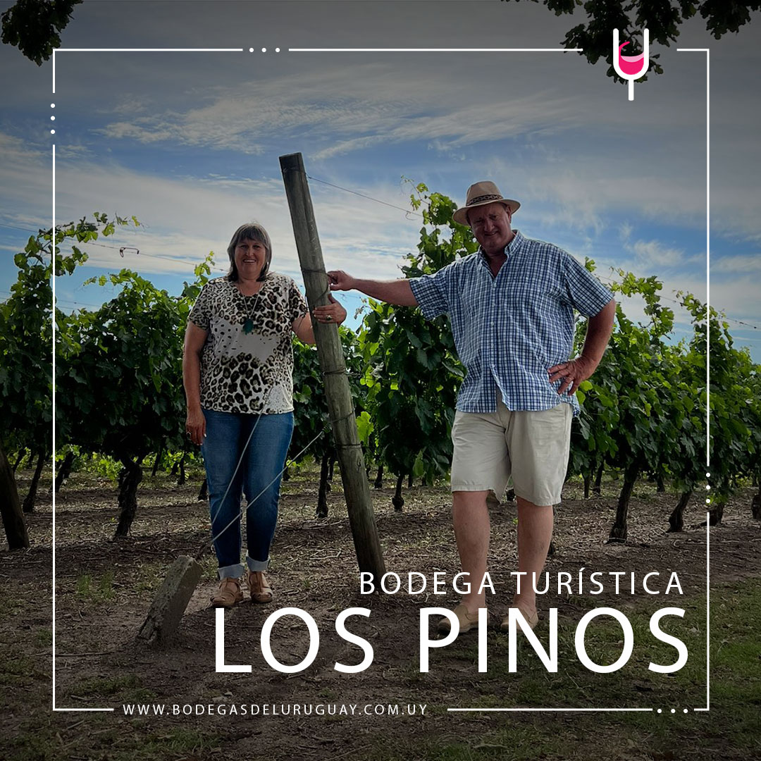 <a href="/BenedettiRamiro/">Ramiro Benedetti</a> visitó Nueva Helvecia y conversó con Mirta Rivas y Julio Ingold, propietarios de Bodega Turística Los Pinos. Al cabo de esa charla, buscó transmitir en esta nota la esencia de las bodegas uruguayas y la riqueza patrimonial que conservan. bit.ly/3hMFu7S
