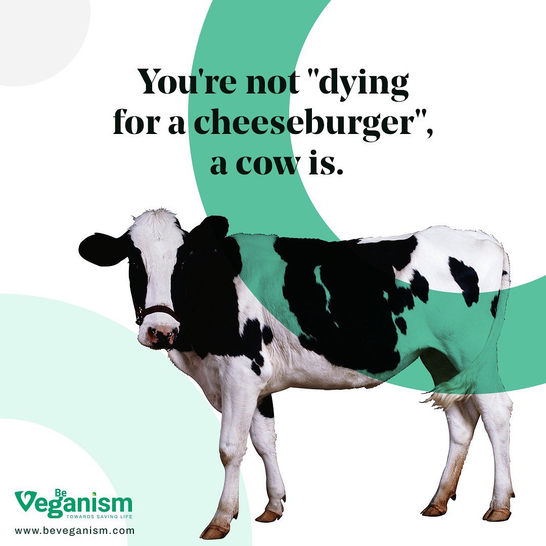 beveganism's tweet photo. LOOK WHAT YOU ARE EATING
- THINK IS THERE VIOLENCE IN YOUR STOMACH
- IF THERE IS THINK ABOUT ALL THE HORRORS THAT THEY HAVE SUFFERED
- GO VEGAN
- GO CRUELTY FREE
.
.
#beveganism #veganrevolution #beyondmeat #beyondmeatburger #govegan #govegans #veganuary #veganfacts https://t.co/SdcD8Xpmtc