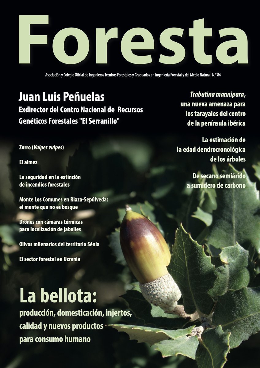 Revista Foresta tweet media