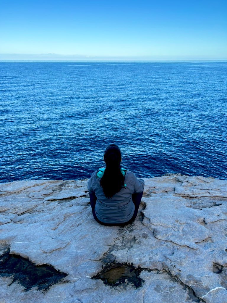 Alycia Pirmohamed tweet media