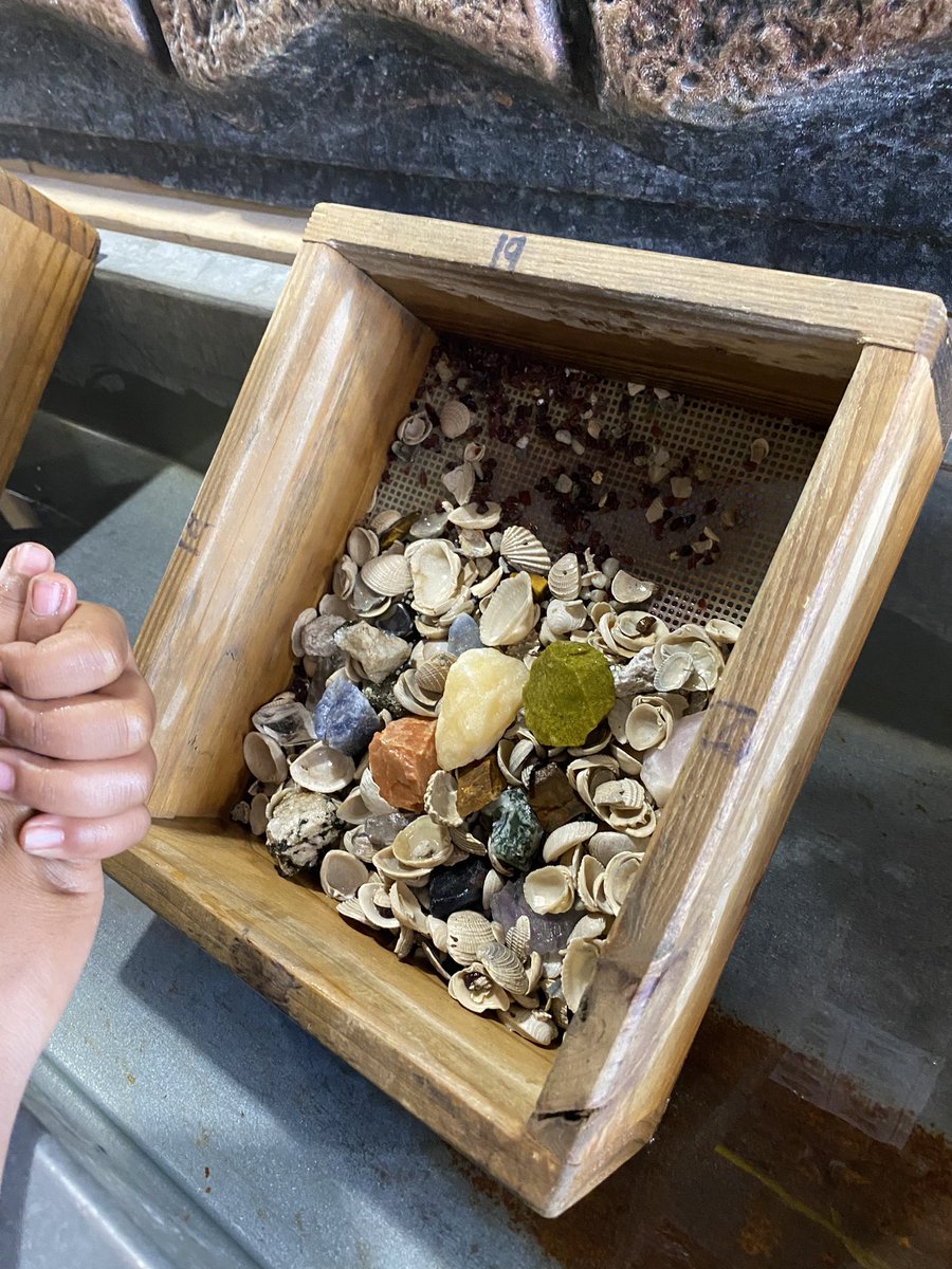 Anderson_Eagles's tweet photo. What a great in house Science field trip with Diamond Del’s Gem Mining for our 4th &amp; 5th grade students! They had a great time mining for gems!🦅🪨📚😊 https://t.co/9BKWbtsZDi