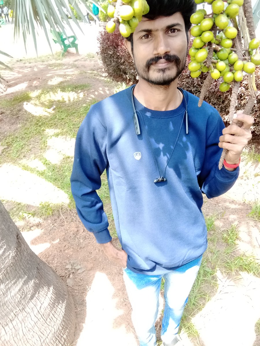 dhaksnatvm's tweet photo. Lalbhag botanical Garden, banglore, india https://t.co/FZq88GcnHn