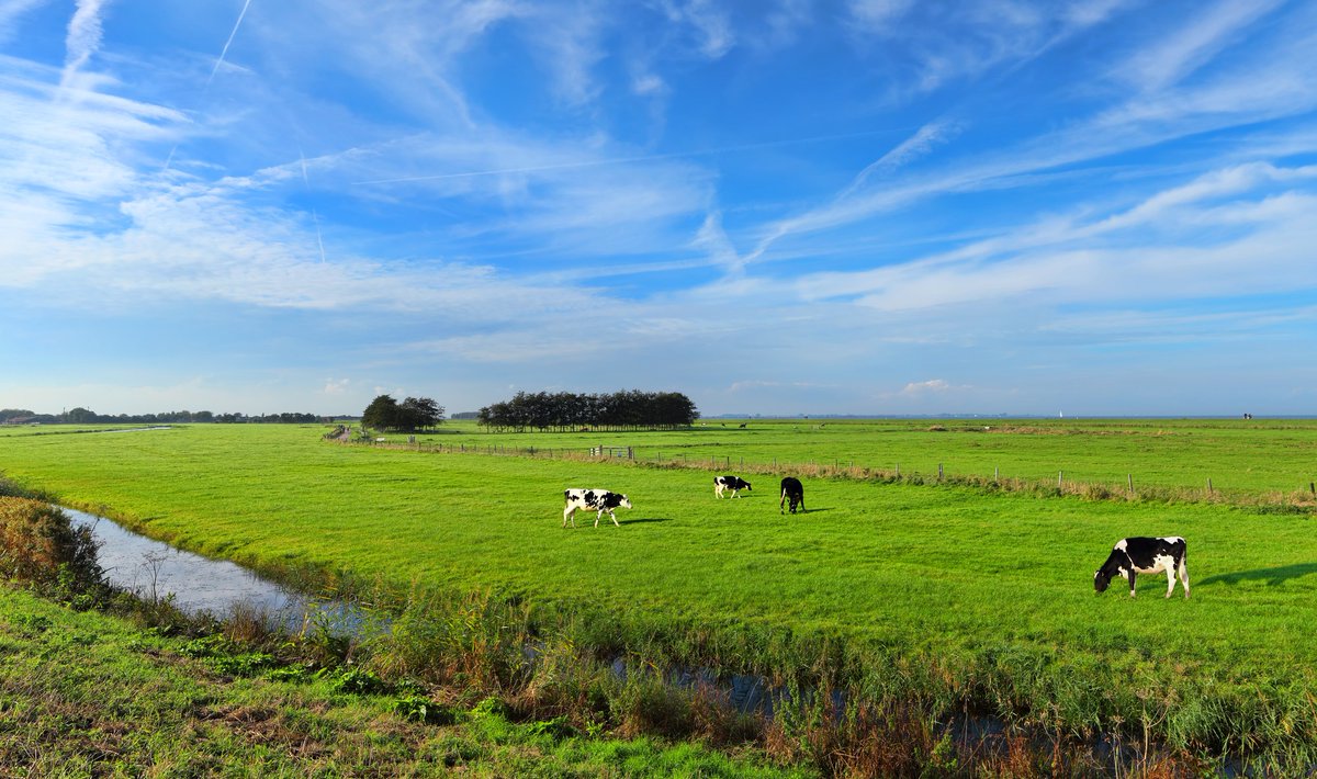 Een uitspraak van de rechtbank Oost-Brabant laat zien dat er nog veel onduidelijkheid is rondom de rechtsgeldigheid van een positieve weigering.
deomgevingsadviseurs.nl/artikel/uitspr…