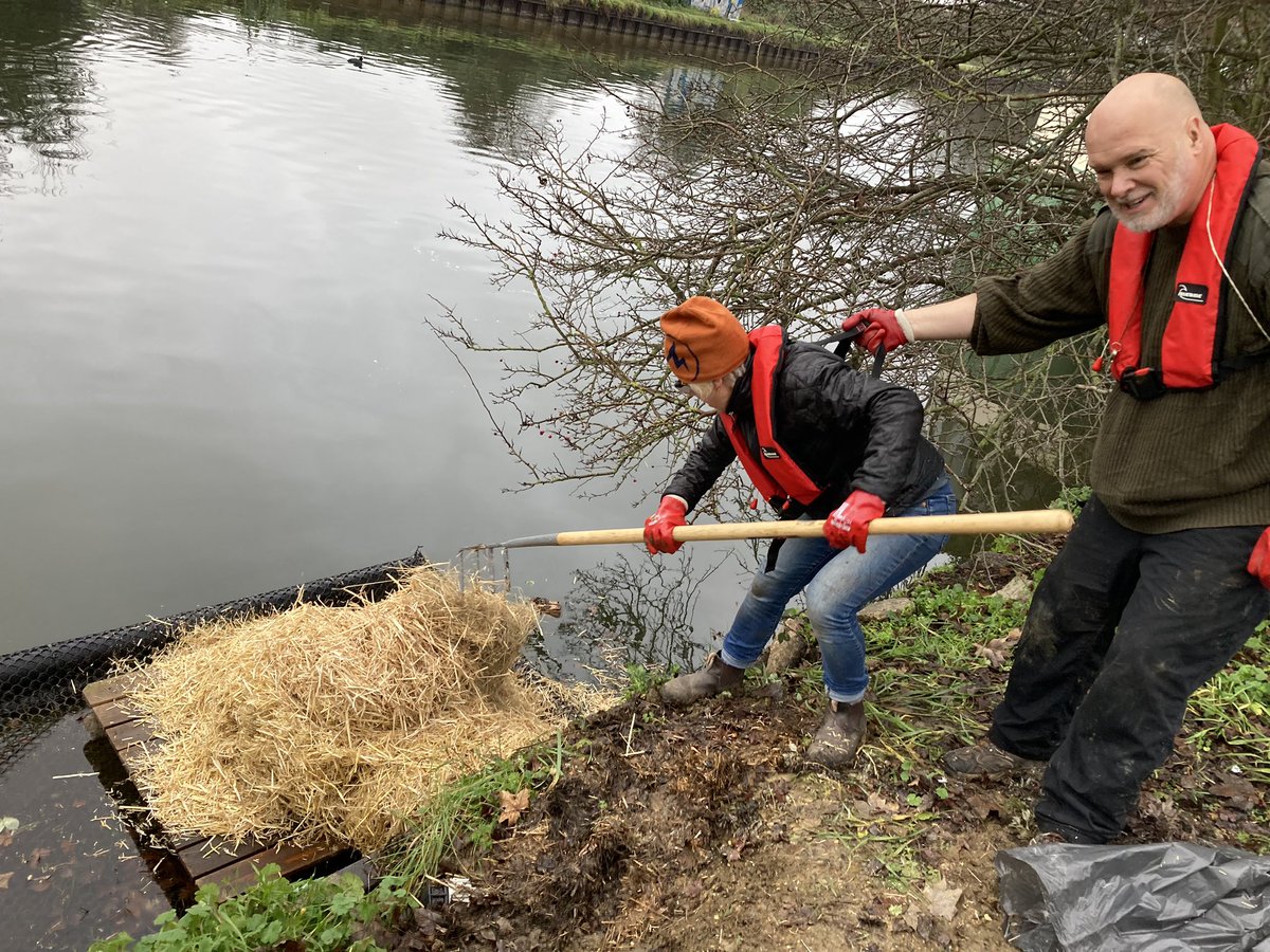 StonebridgeLock's tweet photo. 💚Hauled out &amp; cleaned the #HaleWharf, #Lock17, #TottenhamLock, #LeeNavigation #swan nesting platform- our annual winter maintenance. 4DOS supervised quality control checks &amp; signoff. Got to gawp at a freshwater sponge too!#StateOfNature #Swan #LondonLea #volunteering https://t.co/VVvadXo4JV