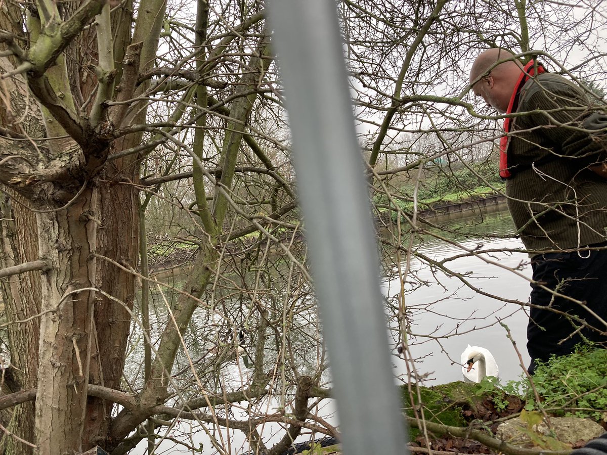 StonebridgeLock's tweet photo. 💚Hauled out &amp; cleaned the #HaleWharf, #Lock17, #TottenhamLock, #LeeNavigation #swan nesting platform- our annual winter maintenance. 4DOS supervised quality control checks &amp; signoff. Got to gawp at a freshwater sponge too!#StateOfNature #Swan #LondonLea #volunteering https://t.co/VVvadXo4JV