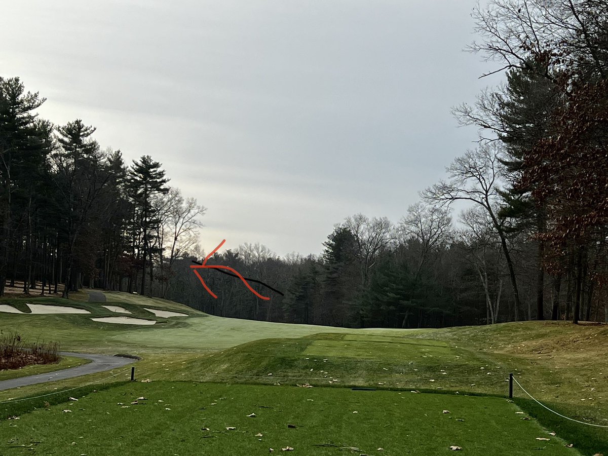 Scott Reynolds tweet media