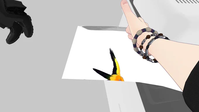 ヒーターつきコピー機にちり撮られそうになるインコ 