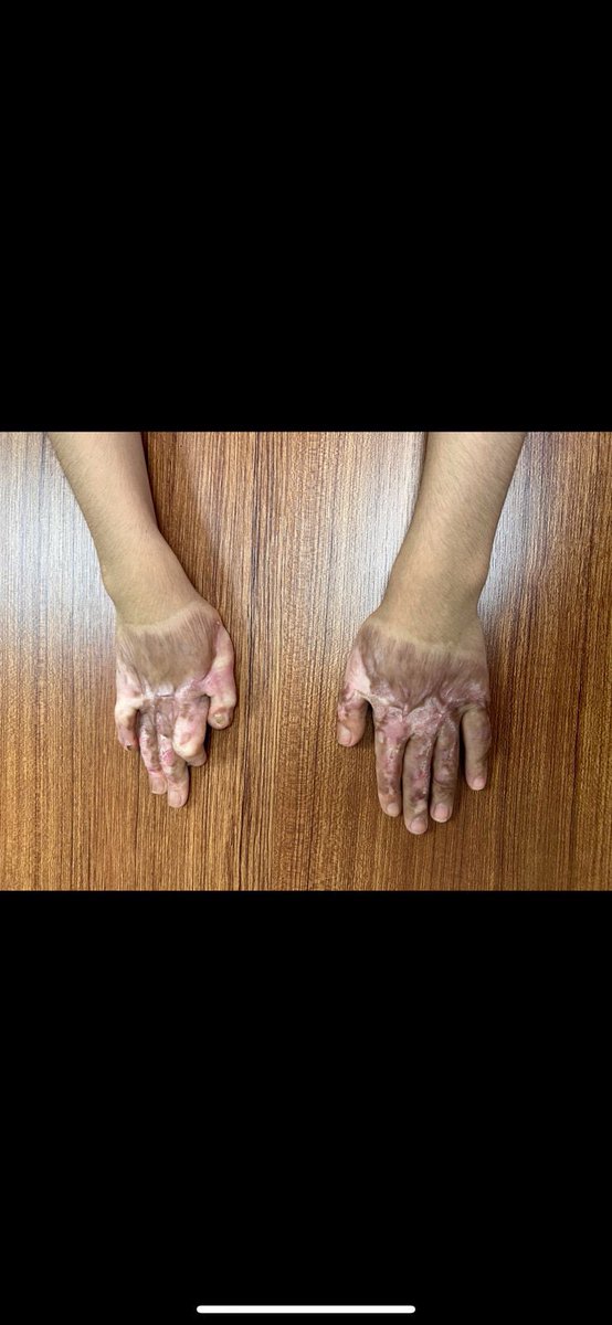 SWISSCROSS tweet media