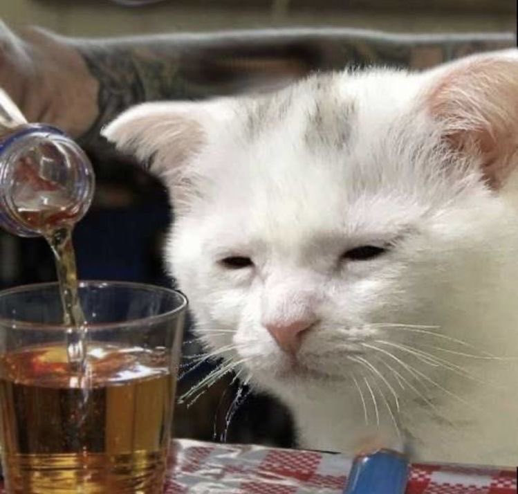 อีกแก้วเดียวกลับเลยมึง
กุ :