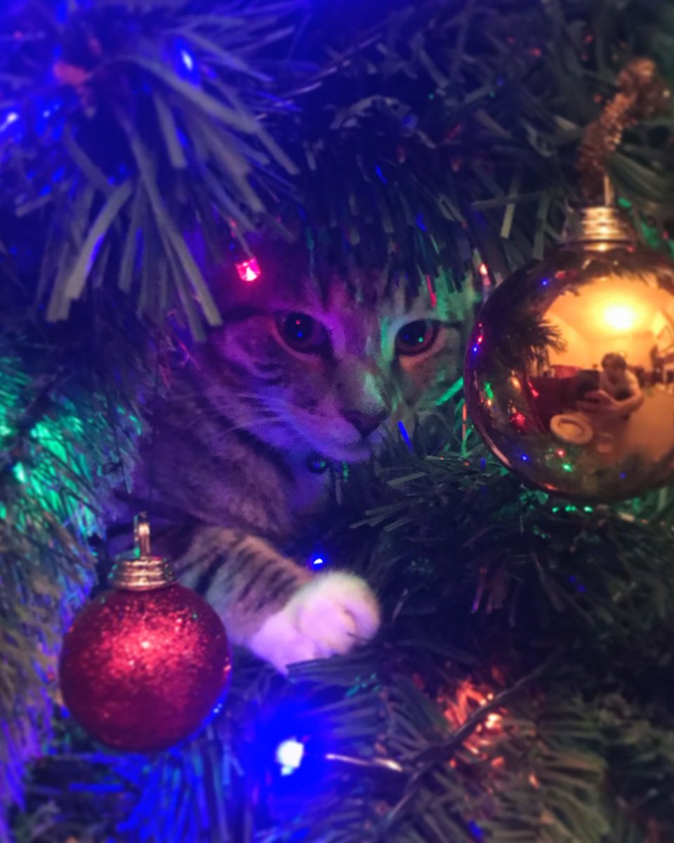 mdte – freelance studio support tweet media