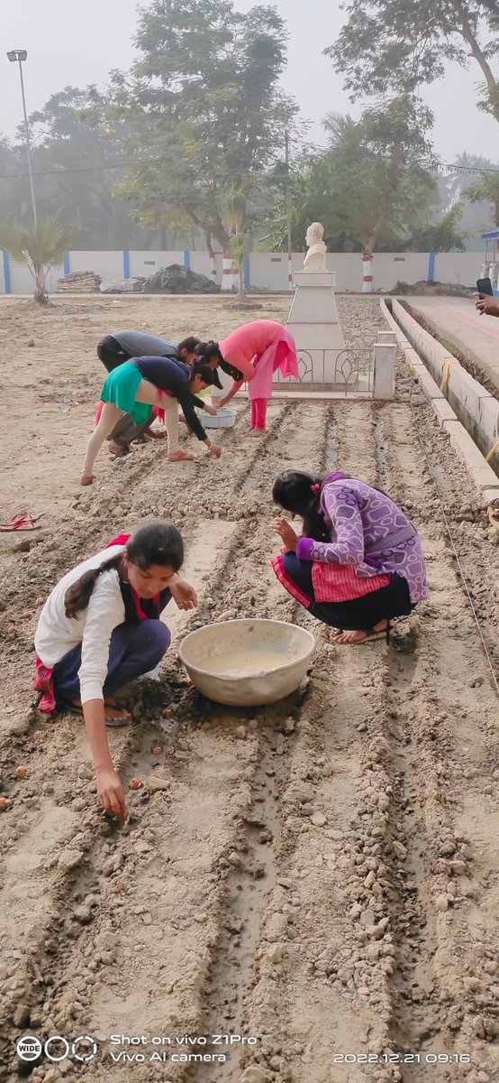 MoynaNss's tweet photo. #Tillage
#Seedbedpreparation
#Tuberssowing
#NSSunit
#MoynaCollege on 21.12.2022
@ianuragthakur
@NisithPramanik
@pankajsinghips
@YASMinistry
@_NSSIndia
@rdnss_kolkata
@VidyasagarNSS
@dblab_endophyte https://t.co/qGjqILuqa0