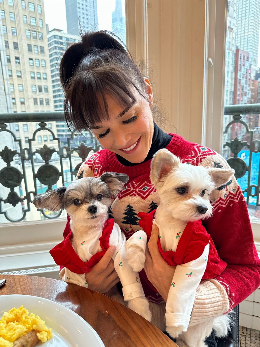 samcarrell's tweet photo. The best holiday tradition continues thanks to our friends @Stella34Macys with @TINKERBELLEadog &amp; Belle.  Early mornings like this are simply perfect 🎅🏼🎄

#santabreakfast #holidaybreakfast #nyc #christmasinnewyork #petfluencers #holidaydecor #memories #santa #tinkerbellethedog https://t.co/O8mhx5LIQO