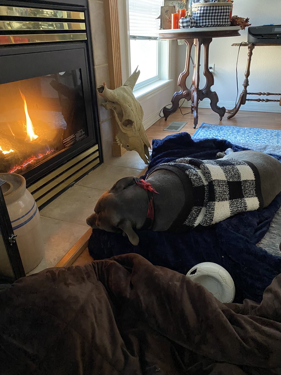 mrickak's tweet photo. 10 Degrees out side right now.Fireplace on https://t.co/EUrLvhPMEn