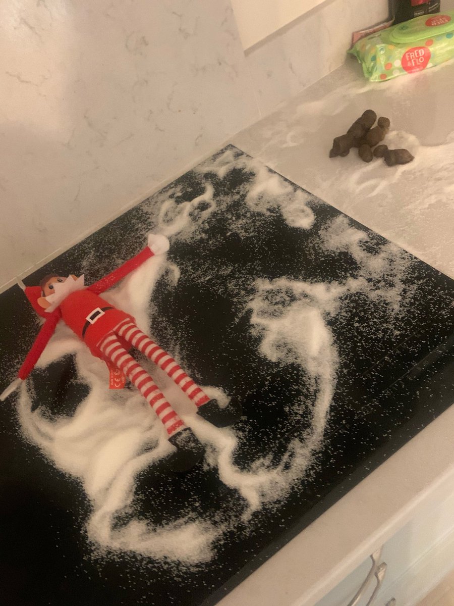 Tried to get creative with the Elf by making a salt angel. The cat thought it was litter and did a giant shit on the countertop. 🤦‍♂️