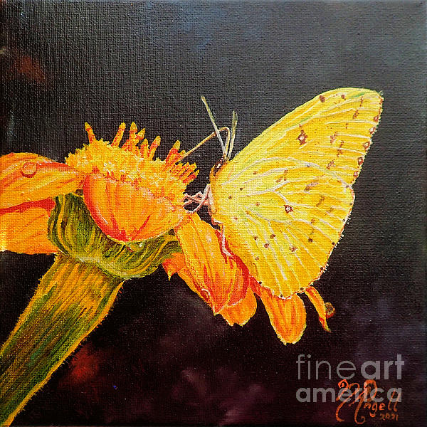 enchantedcraft's tweet photo. New artwork for sale! - "Cloudless Sulfur on Mexican Sunflower" - https://t.co/mxnVFQytmk @fineartamerica https://t.co/somYRrVi6H