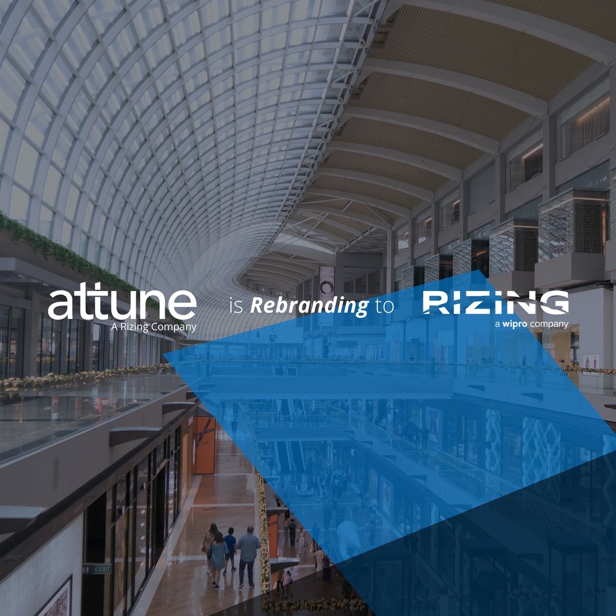 attune, a Rizing Company tweet media