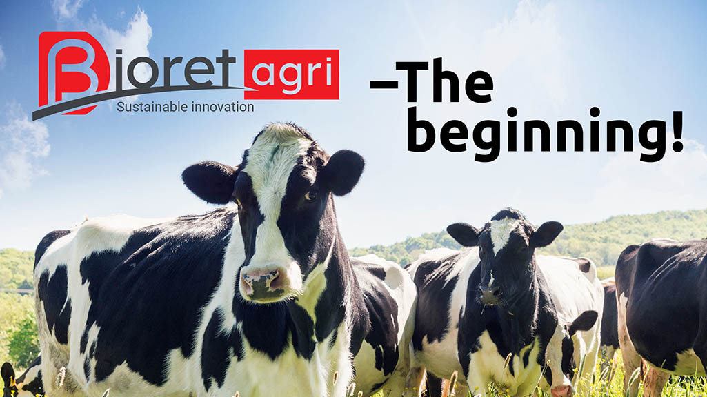 Bioret_Agri's tweet photo. Bioret Agri was founded by the breeder Alain Bioret in 1993, he was one of the pioneers in the innovation of animal comfort. Since that day the comfort of the breeder and dairy cow became our priority for the creation of the product, research and development #cowcomfort#dairyfarm https://t.co/UrJlDrMIzS