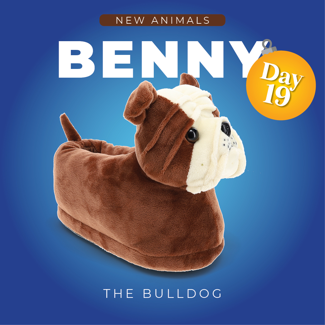 Day 19 of 21 Days of new slippers! Benny is the latest version of our bulldog slippers. Ready to go have fun running around with his dog buddies!

#buyhappyfeet #happyfeetslippers #slippers #bulldog #bulldoglove #gifts #giftideas #itslikewalkingonpillows