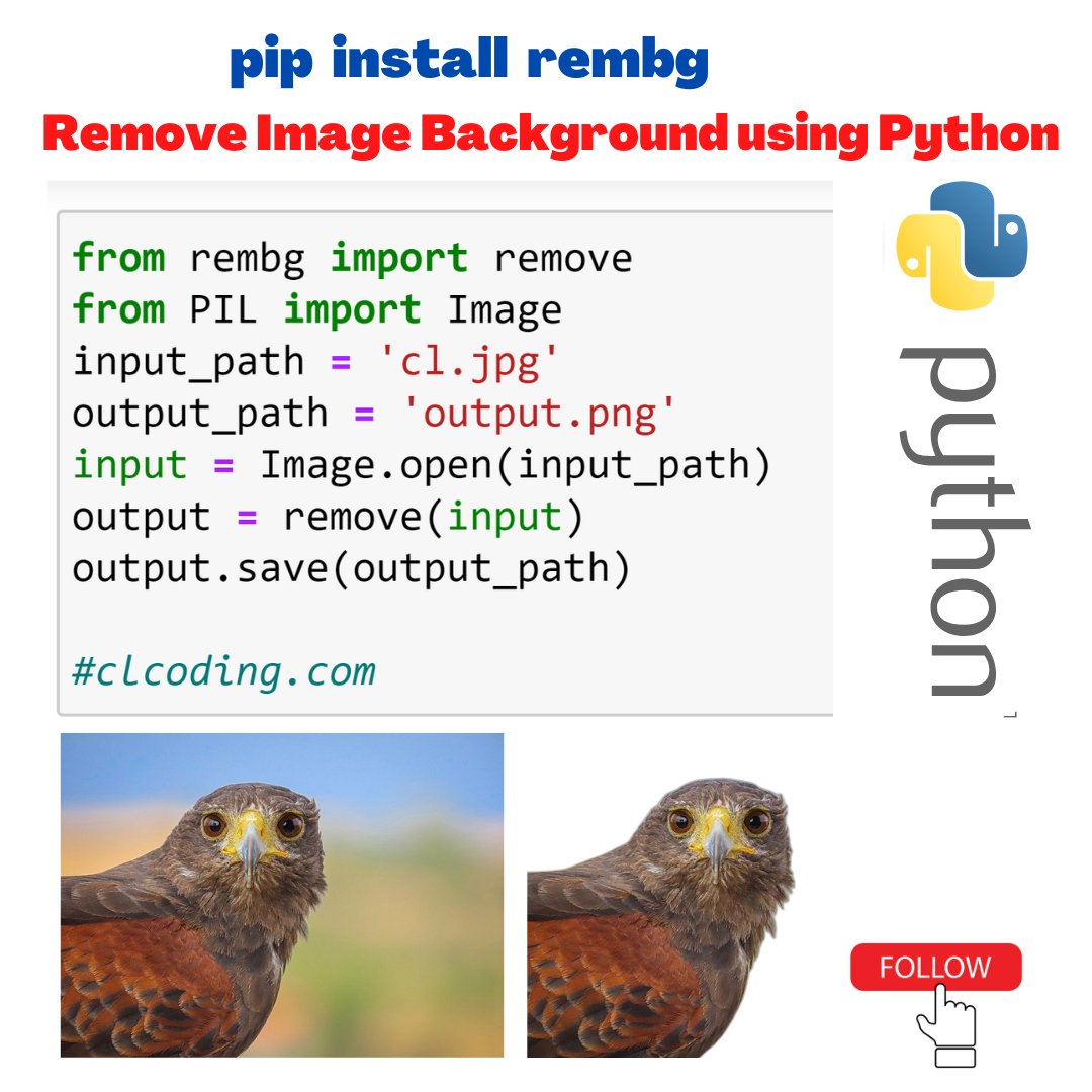 Python Coding tweet media