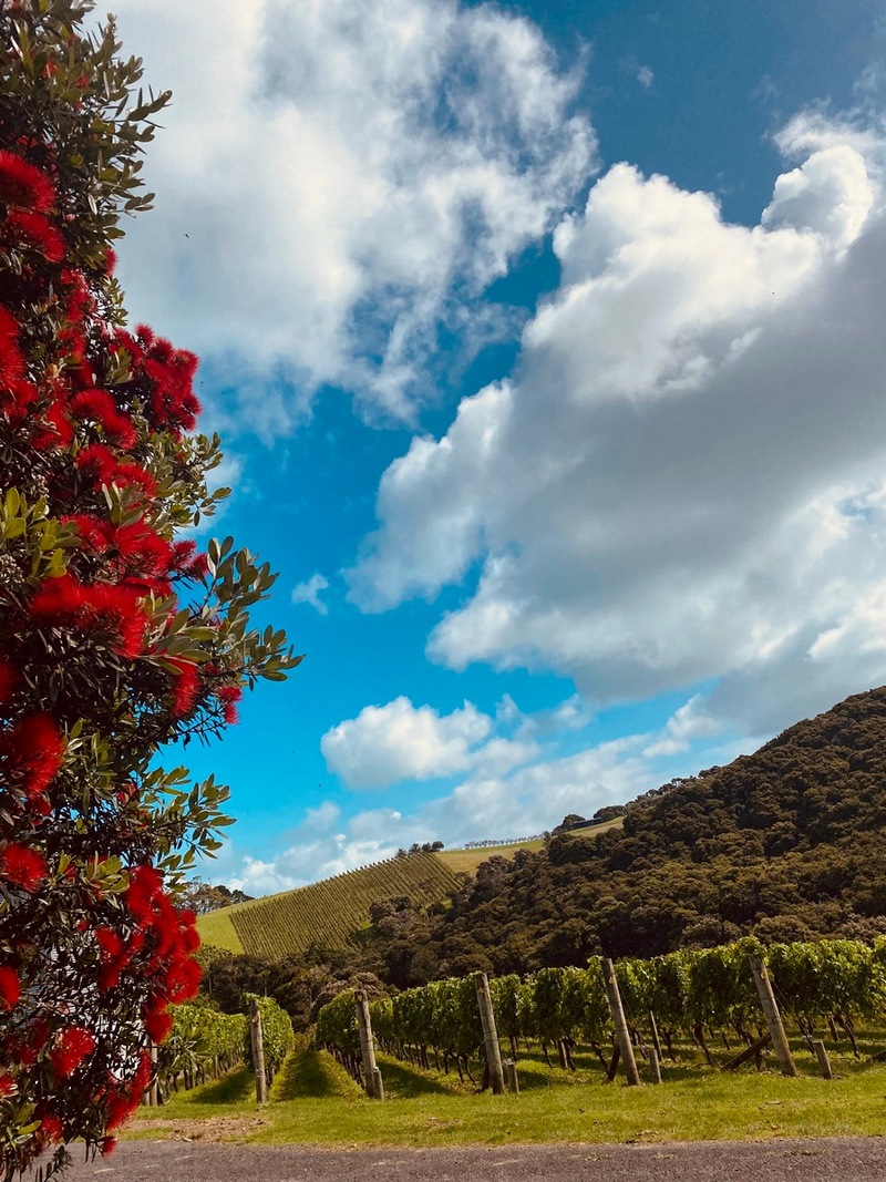 DestinyBay's tweet image. Wishing all of our wonderful customers and followers a very happy Holiday Season and a prosperous New Year. Thank you all for being part of the Destiny Bay story.