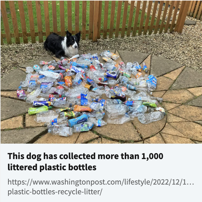 vettechs on Twitter "Meet Scruff, the "eco dog." Does your pet have any hidden talents? https