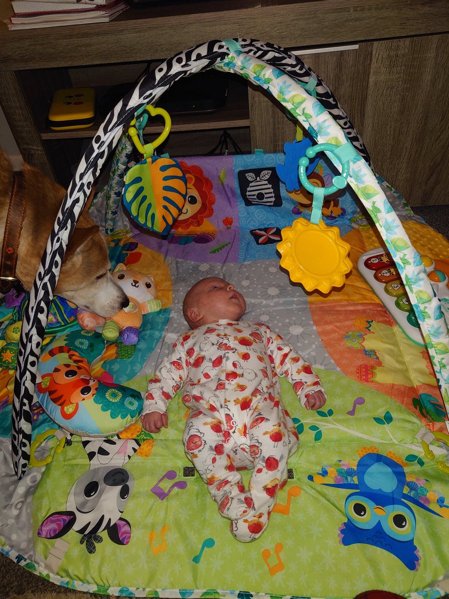 Jessica Fox 🌍🏞️🌻🌳 tweet media