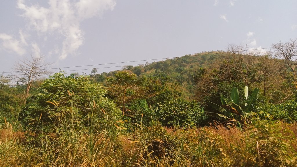 rachadsanoussi's tweet photo. Bienvenu à #Badou, une ville de l'ouest du #Togo, près de la frontière #ghanéenne 🇬🇭 , dans la région des #Plateaux. Ses principales industries sont la culture du #cacao et du #café. La #chute d' #Akloa se trouve à proximité. On parle de cette merveille plus bas

#TgTwittos https://t.co/QlaHHhyFh5