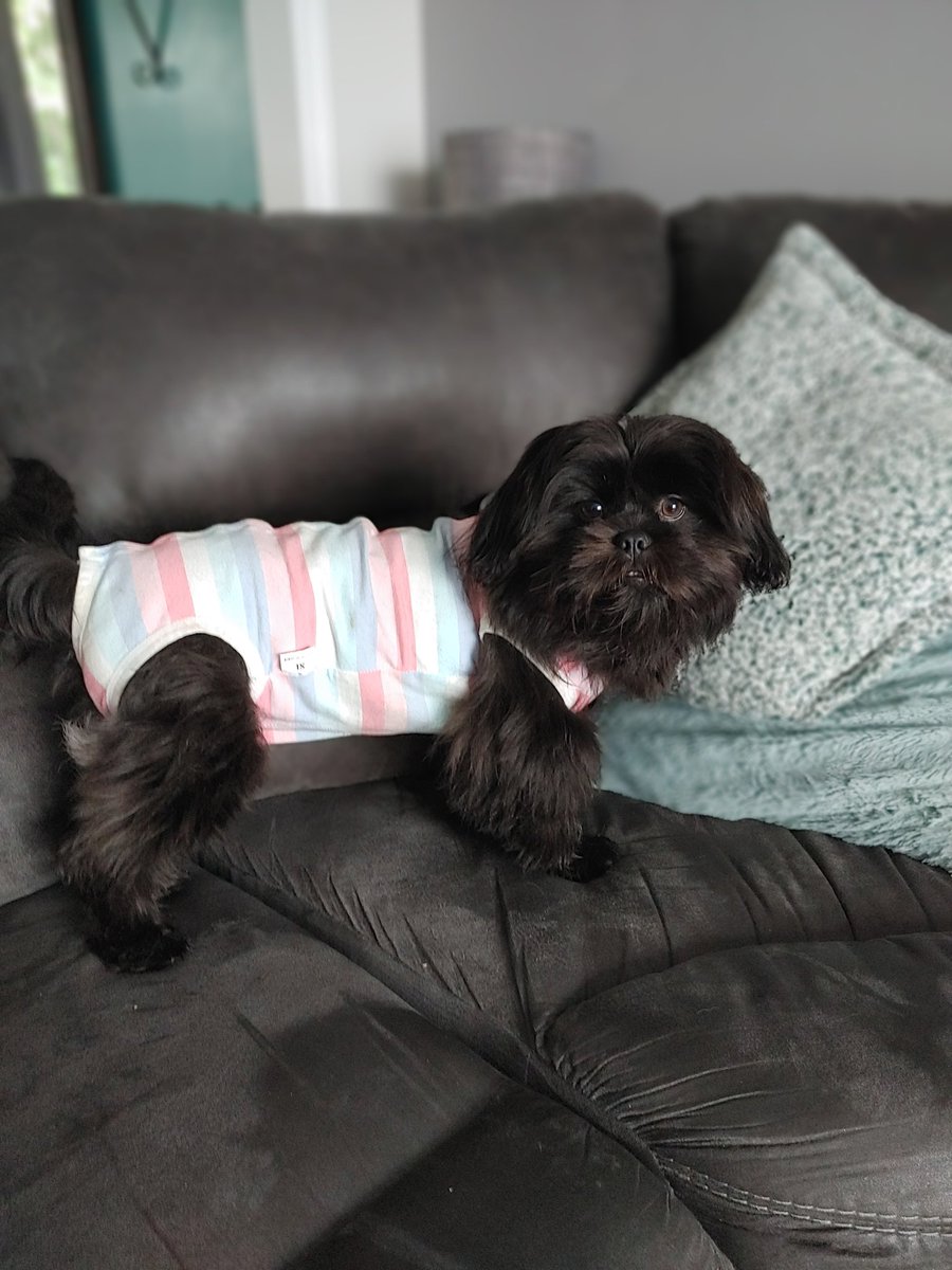 Genevieve Seguin tweet media