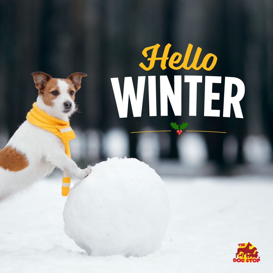 Happy First Day of Winter! What is your favorite winter activity? #wintersolistic